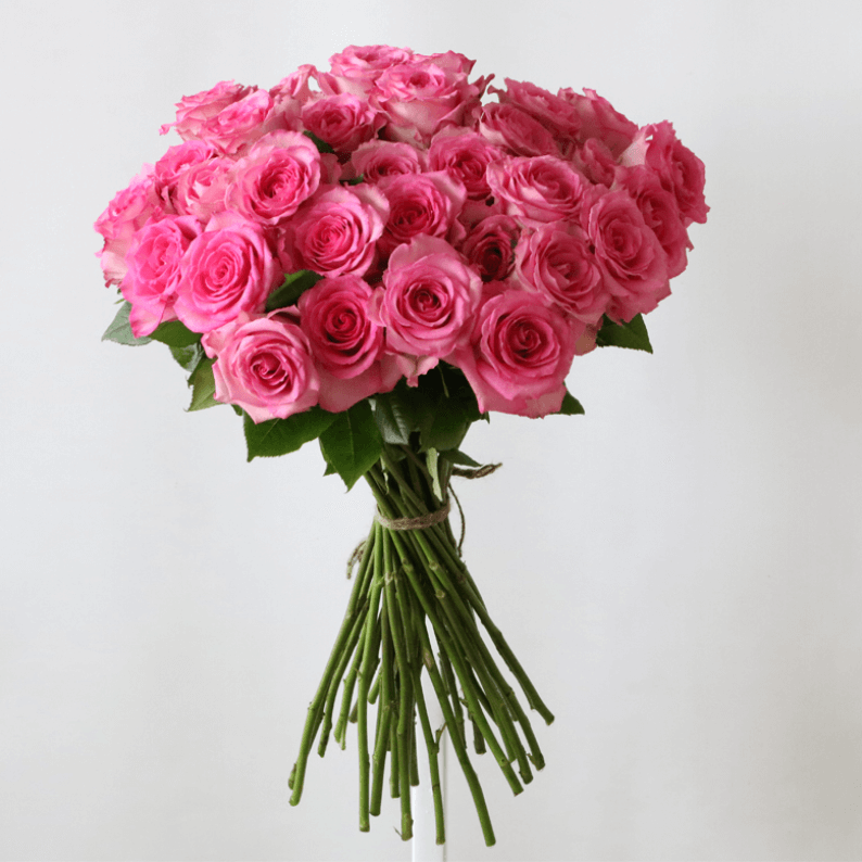35 Stems of Pink Rose 35v pink roses