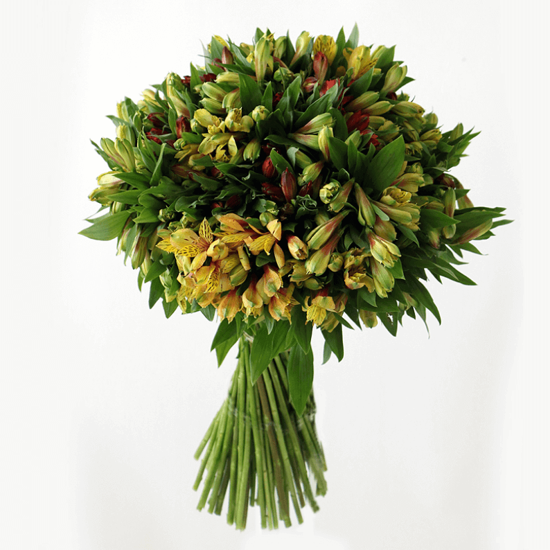 Cornelia mixed bouquet of alstroemeria