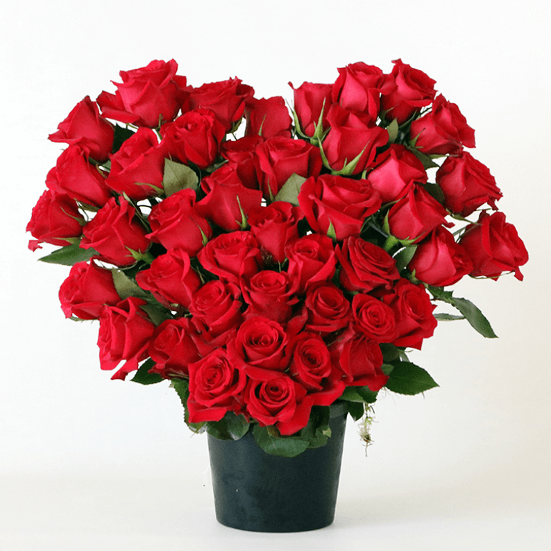Red rose heart design in a black pot large red roses arranged in a heart shape in a black ceramic pot