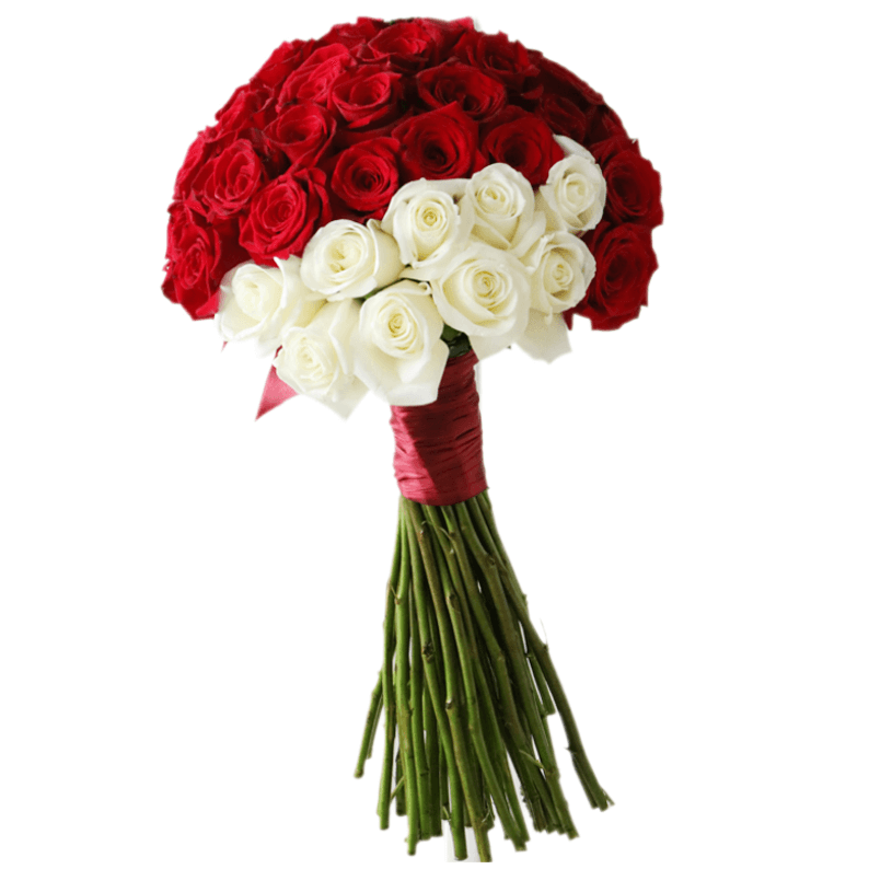red and white rose bouquet red and white roses in a bouquet