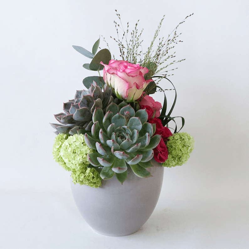 Weekly Flower Subscription 1 vase_2 succulent, pink rose, snowball in a grey pot