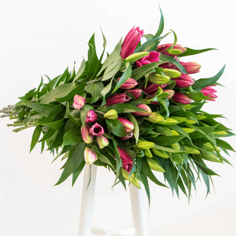 Mixed pink and white lily Pink and white lily cut flower
