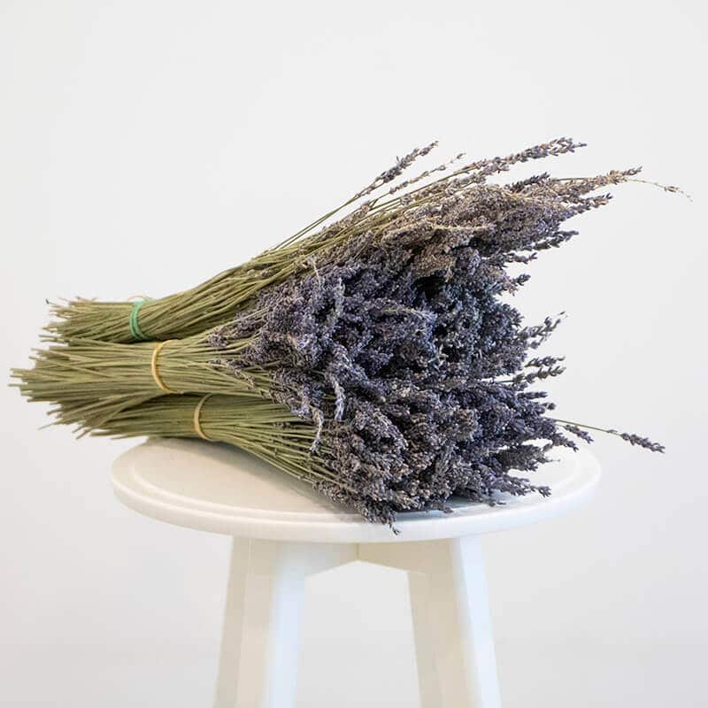 Dried Lavender Dried lavender