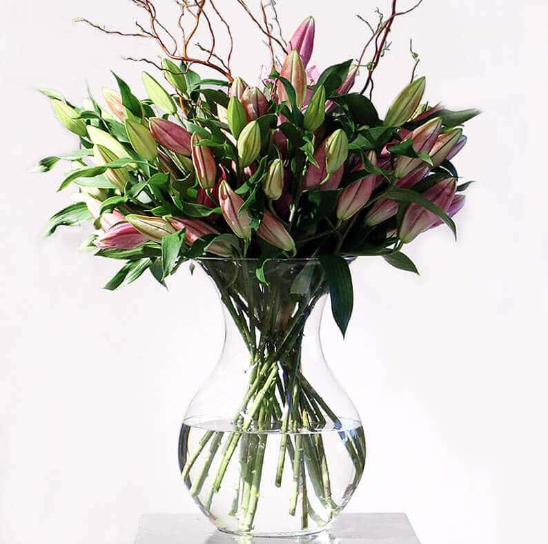 Haya Lilies in a vase