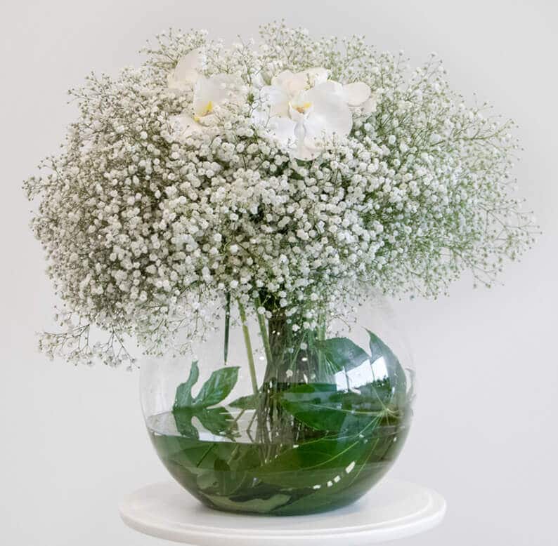 Nisira gypsophelia and phalaenopsis orchids