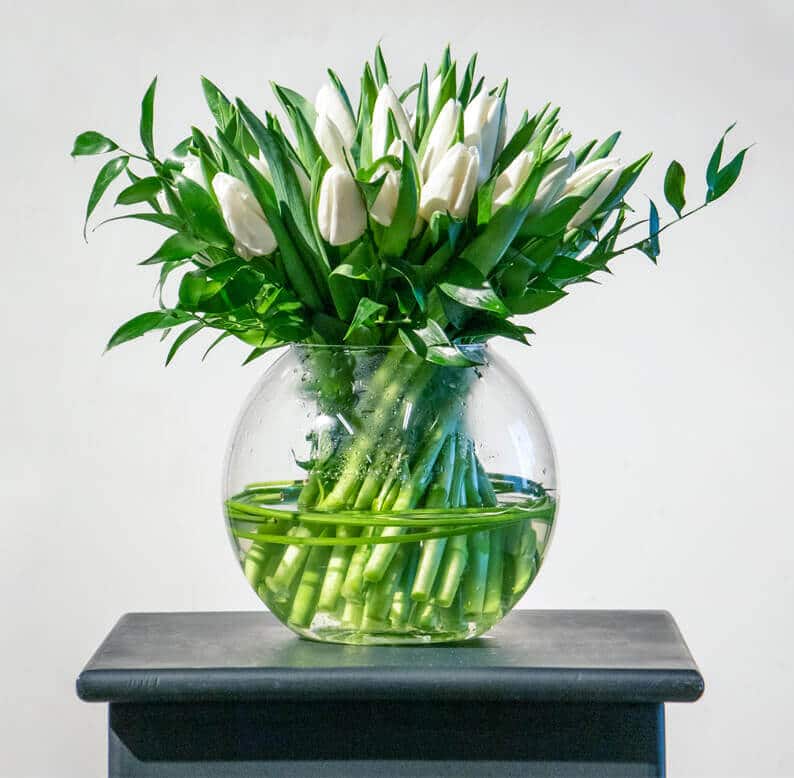 White Tulips in a glass vase White tulips in a vase