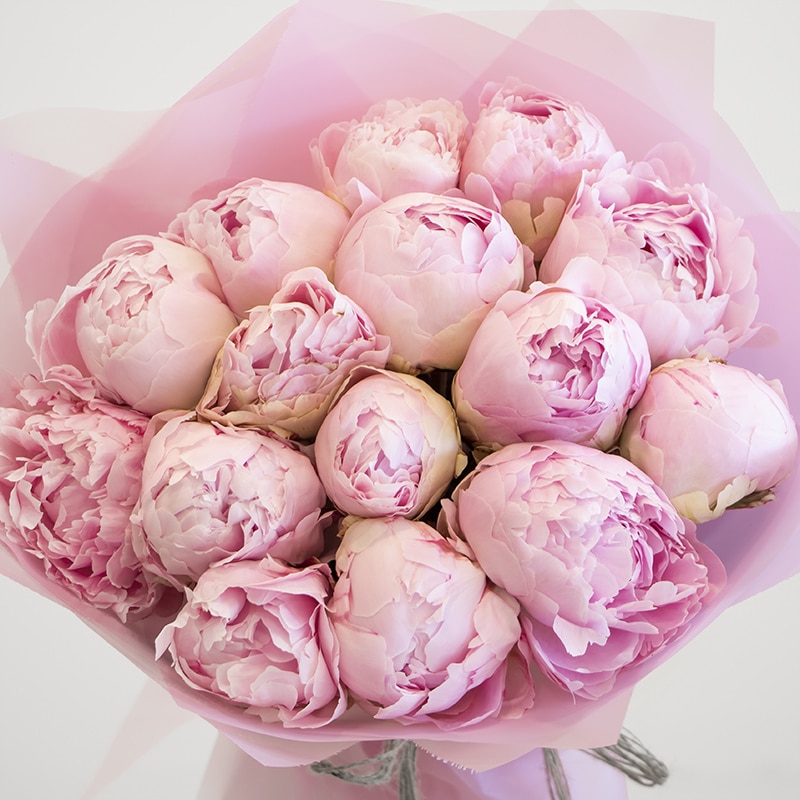 Peony bouquet 2 close up of pink peonies