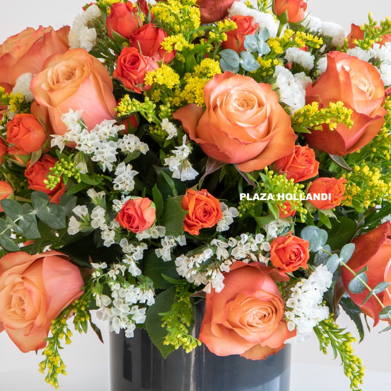 Latifa Close up of Plaza Hollandi Orange and yellow flowers
