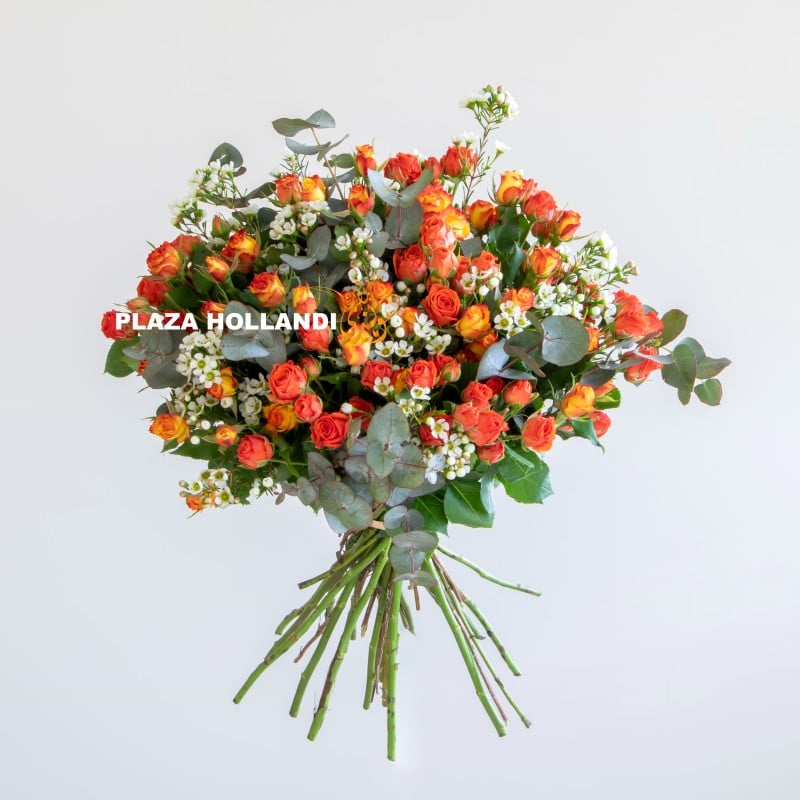 Yasmin Plaza Hollandi orange spray rose bouquet