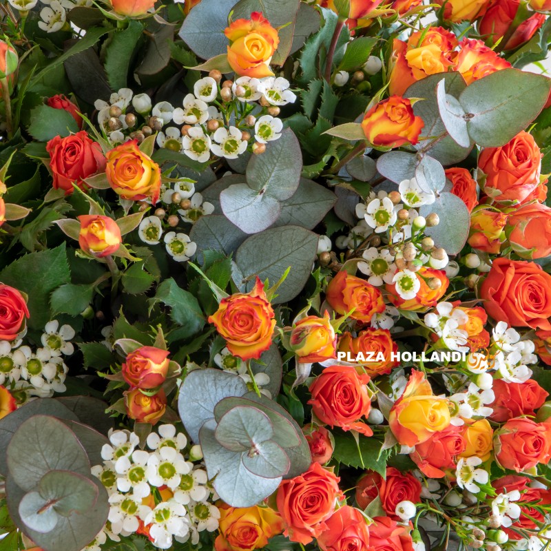 Yasmin Close up of wax flower and orange spray roses