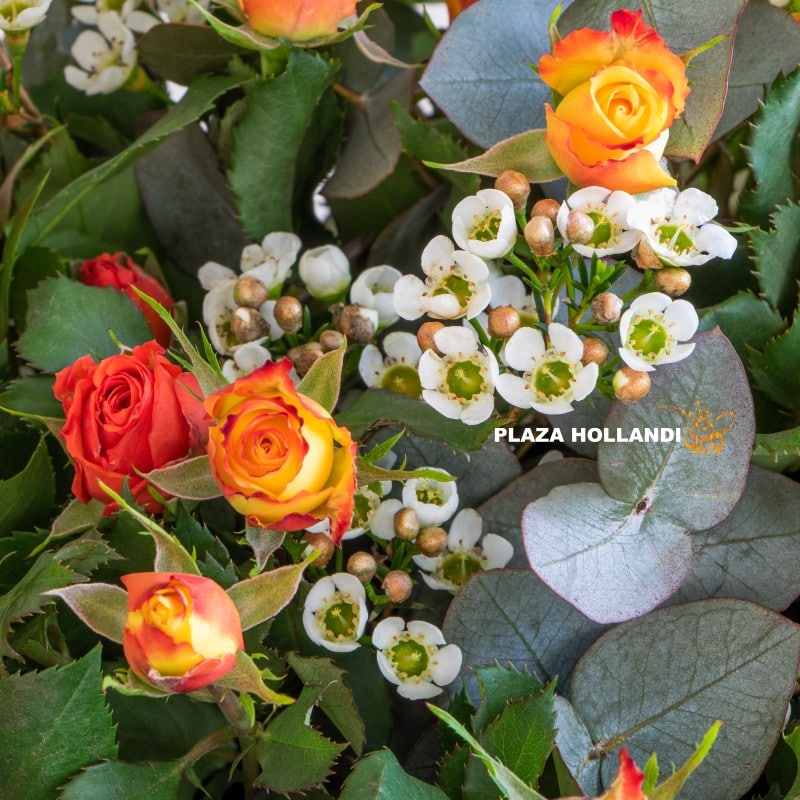Yasmin Close up of wax flower and orange spray roses