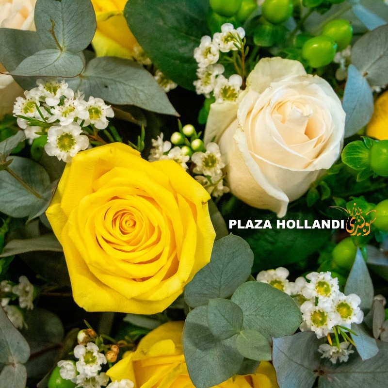 Arabella white and yellow roses
