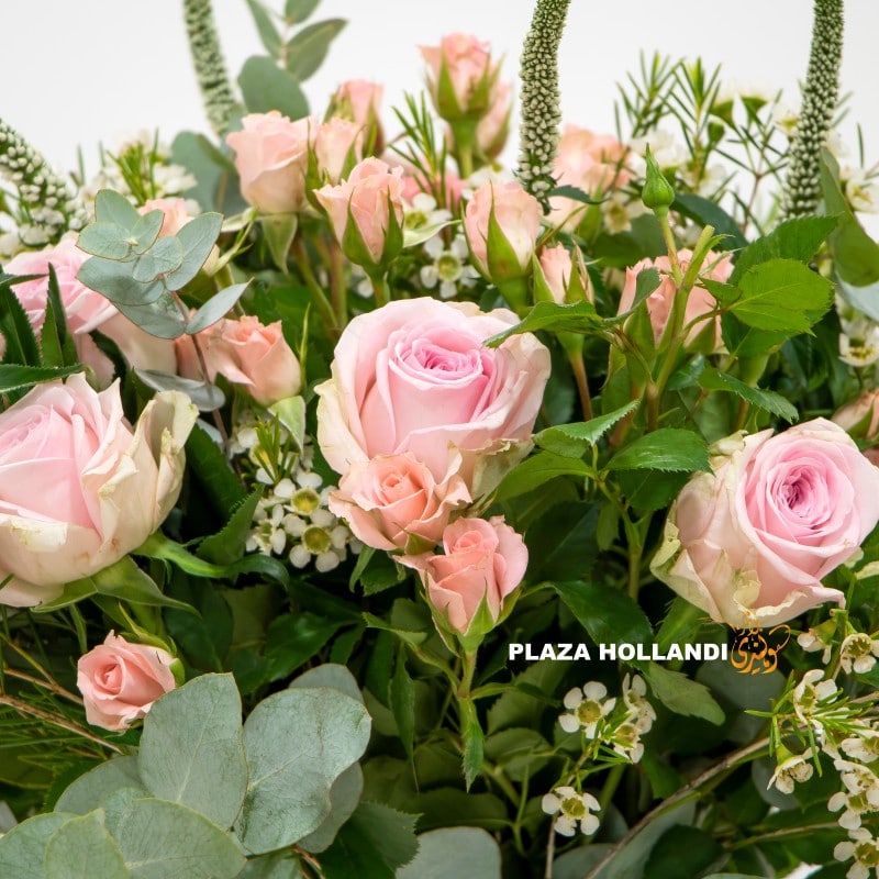 2.1 logo (2) pink rose close up