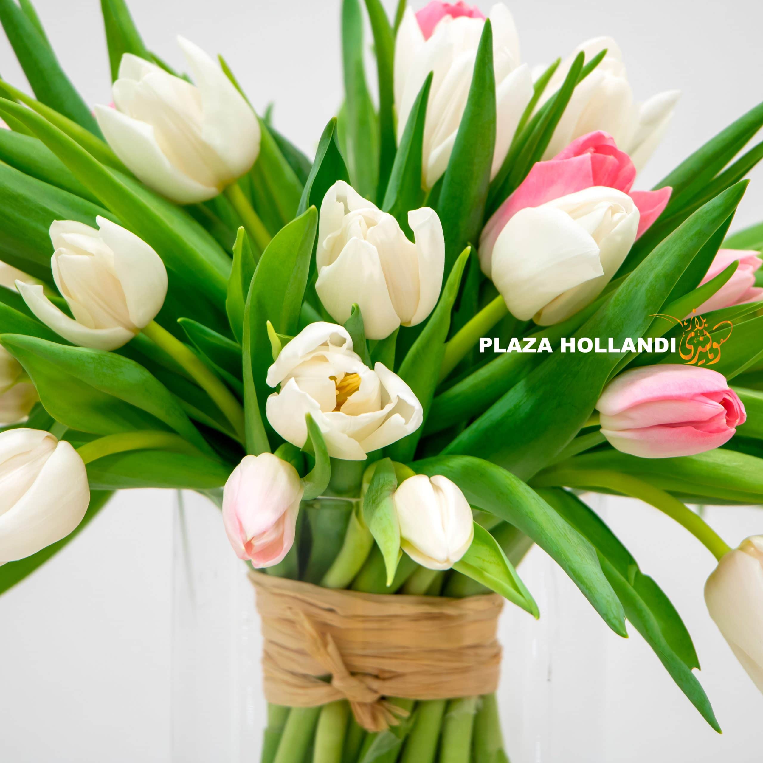 Mix Tulips In A Vase Mix Tulips In A Glass Vase
