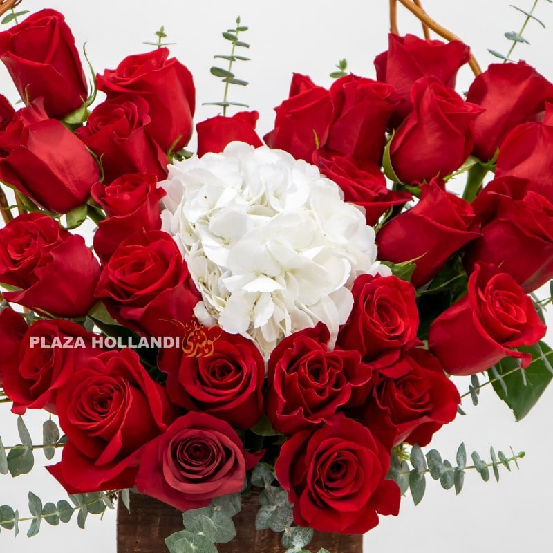 3.2 close up of red rose flowers