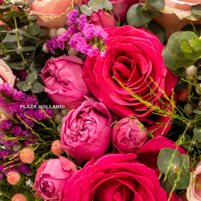 4.2 close up of pink roses