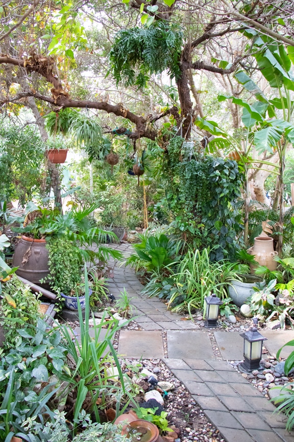 Tropical garden in Qatar