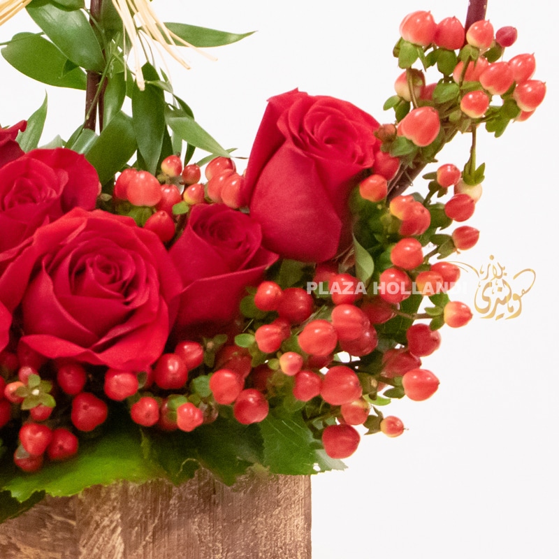 Close up of hypericum close up of red rose flowers, and hypericum