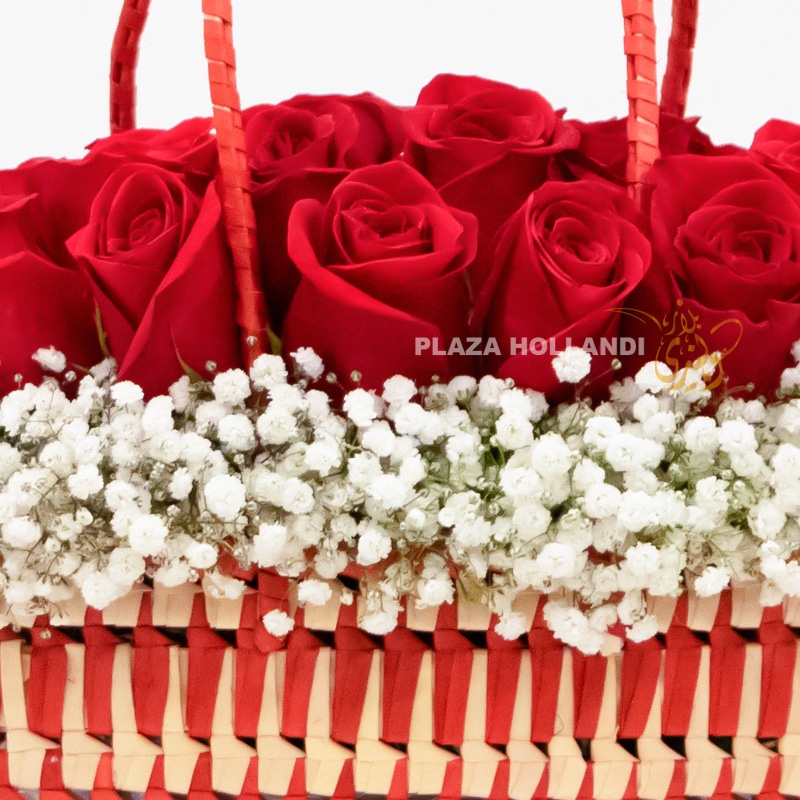 close up of red roses close up of red roses and gypsophelia