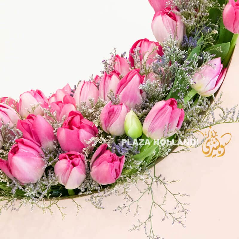 Moon D 2 close up of pink tulips