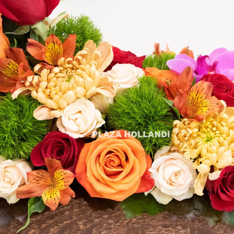RK 01 close up of flowers