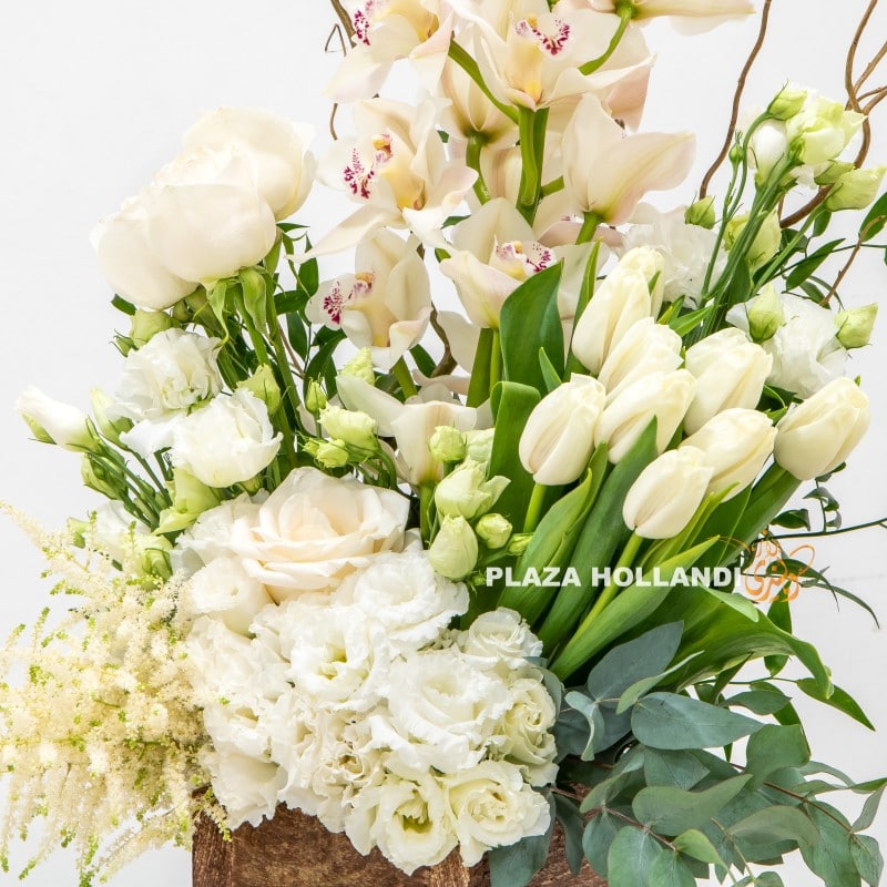 2.1 Close up of white flowers