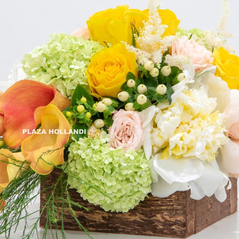 3.2 close up of yellow, green and white flowers