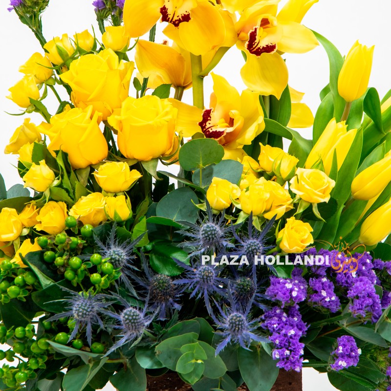 1.4 purple and yellow flowers