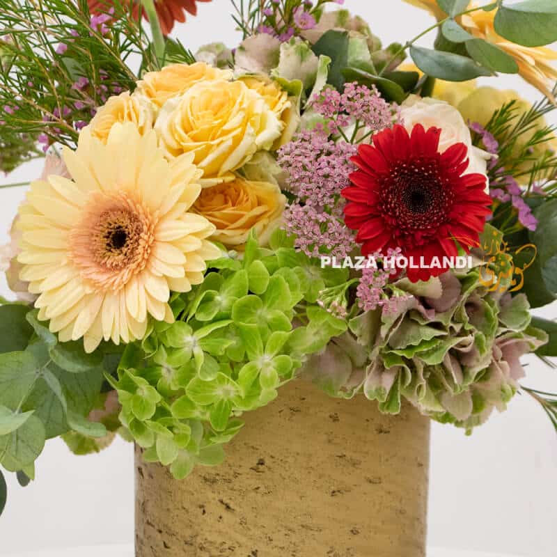 3P All C close up of flowers