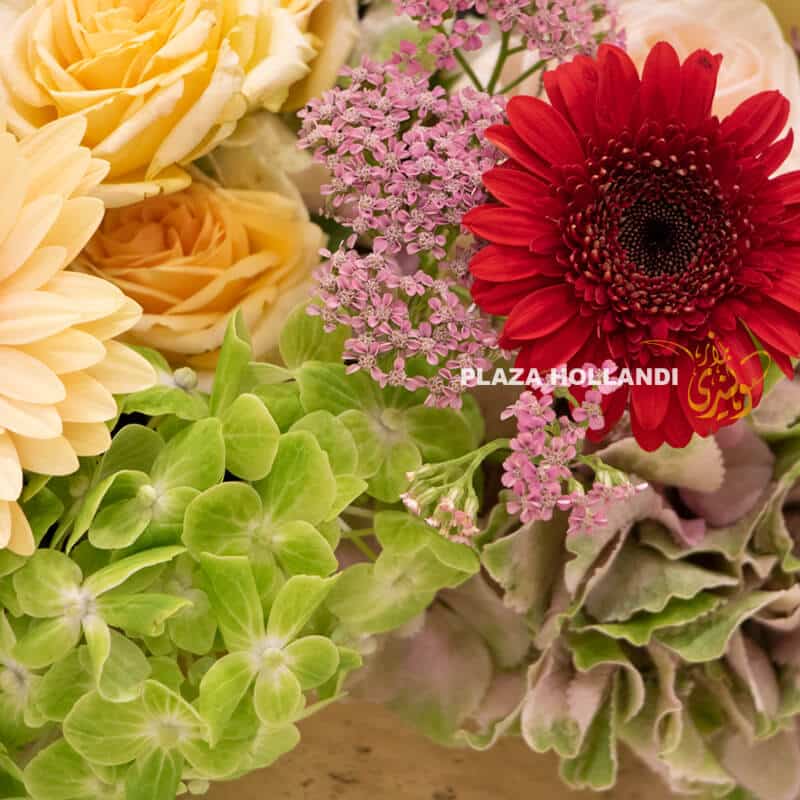 3P All C1 close up of flowers