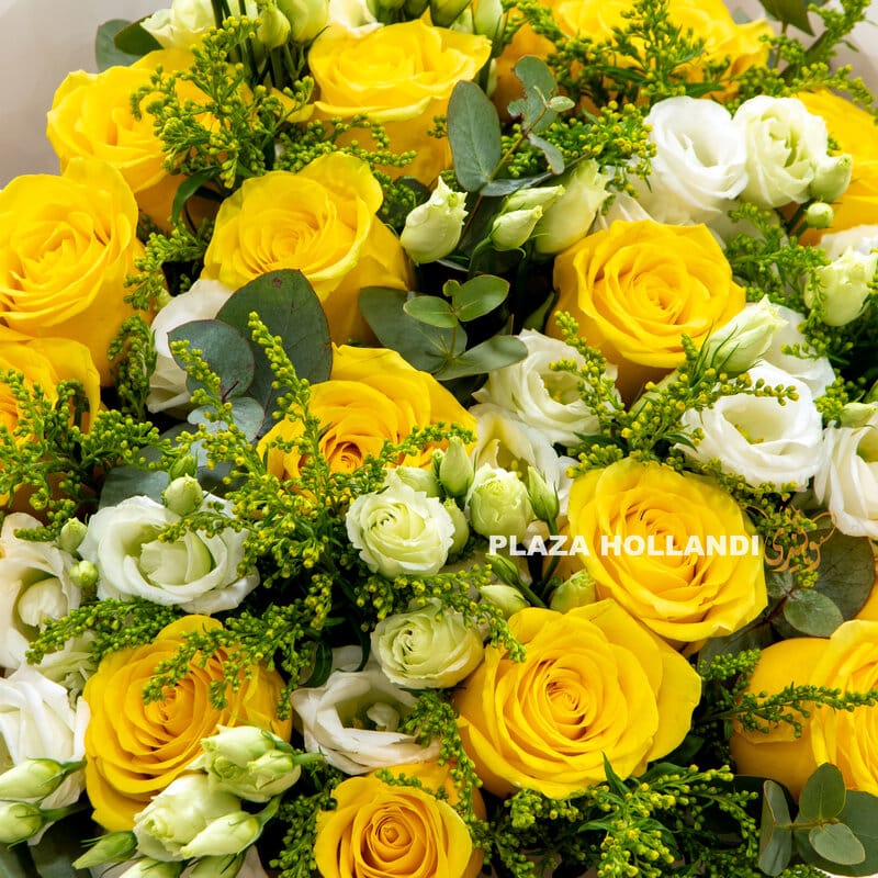 1.3 Close up of yellow roses