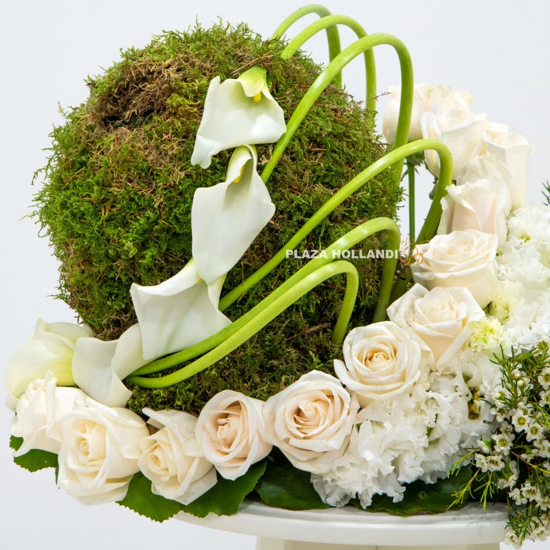3.2 Fifa World Cup Luxurious Gift - Plaza Hollandi