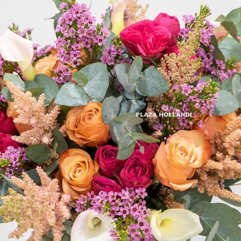 4.2 Close up of pink and peach flowers