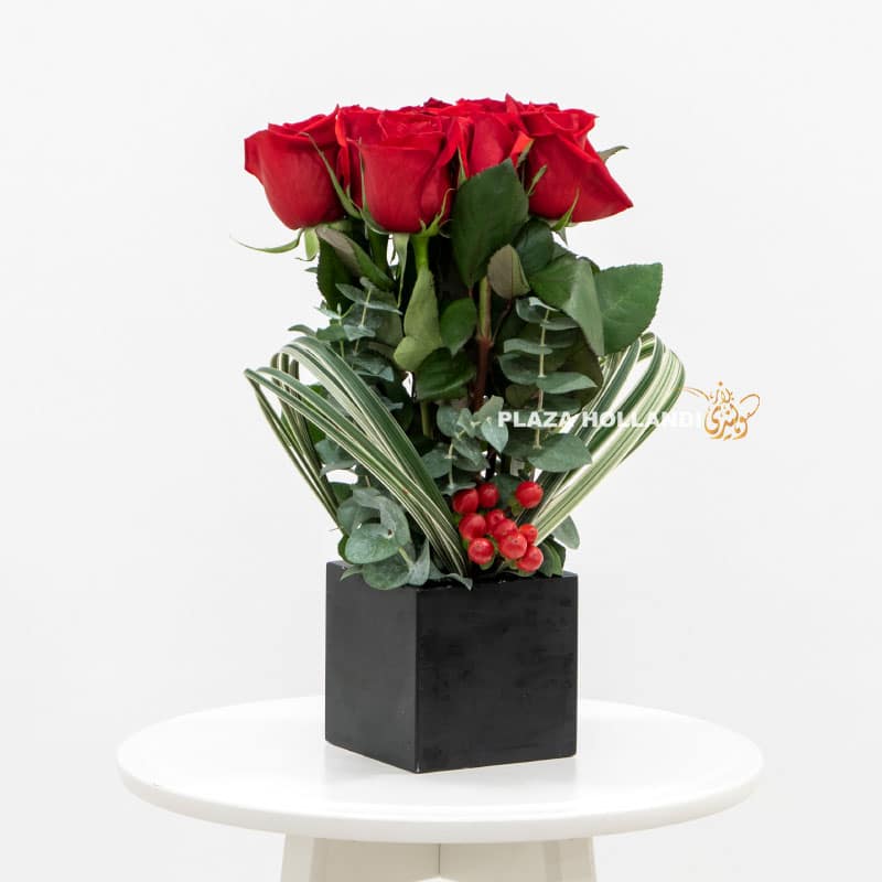 1.5 Roses in a back box