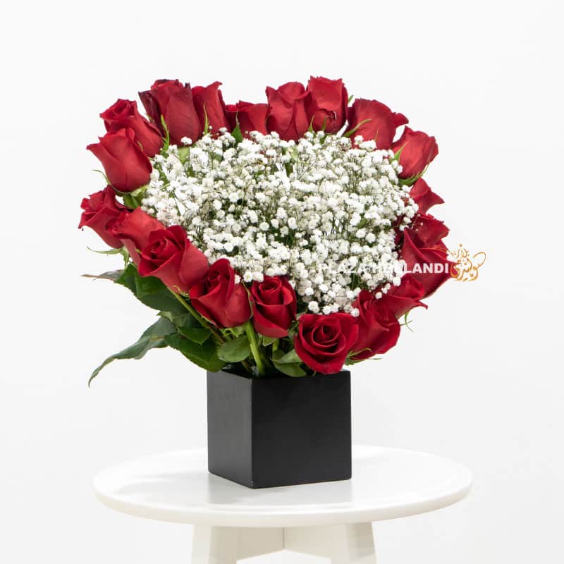 12.2 12 red roses in a black box with gypsophilia