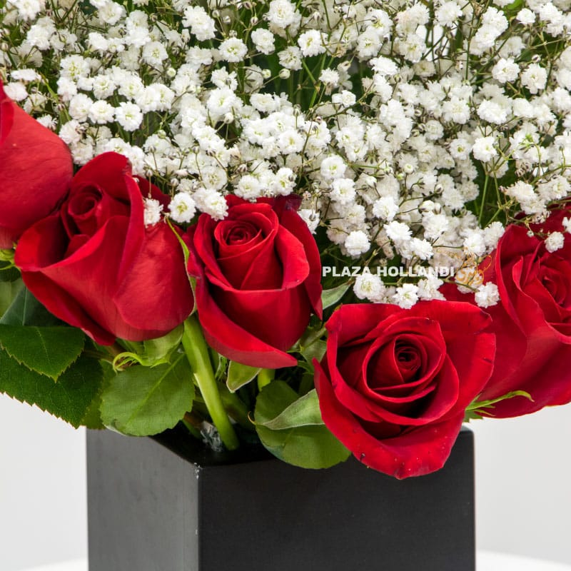 12.5 close up of red roses in a box