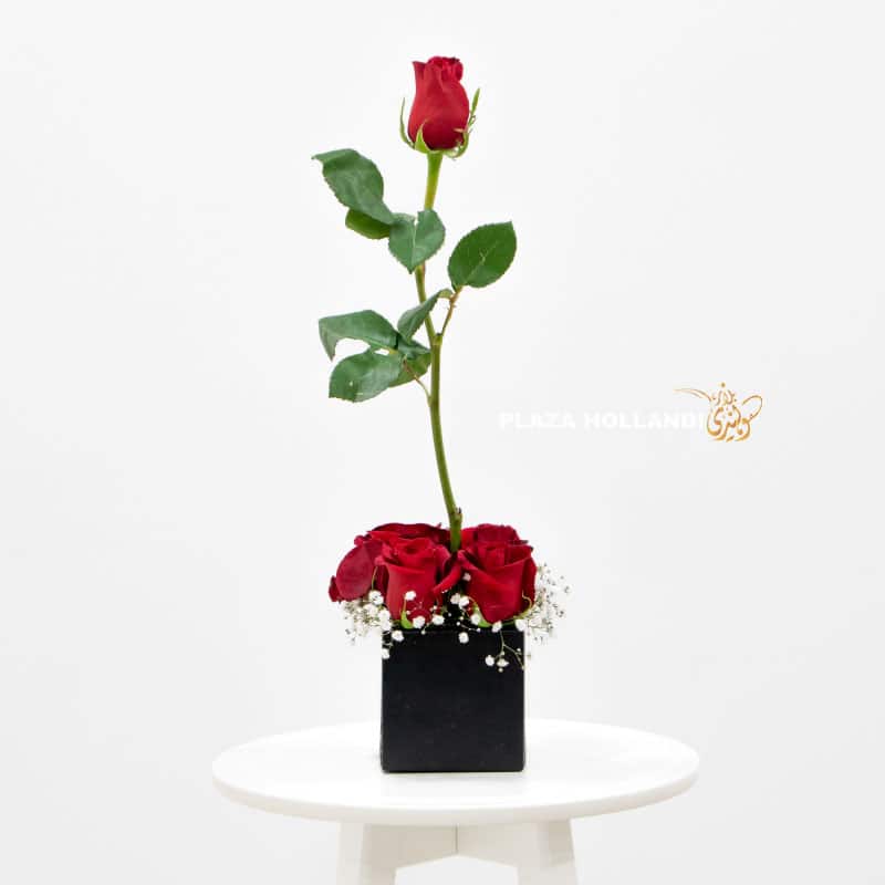 13 red rose in a black box