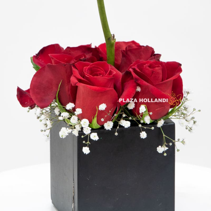 13.3 red roses in a black box