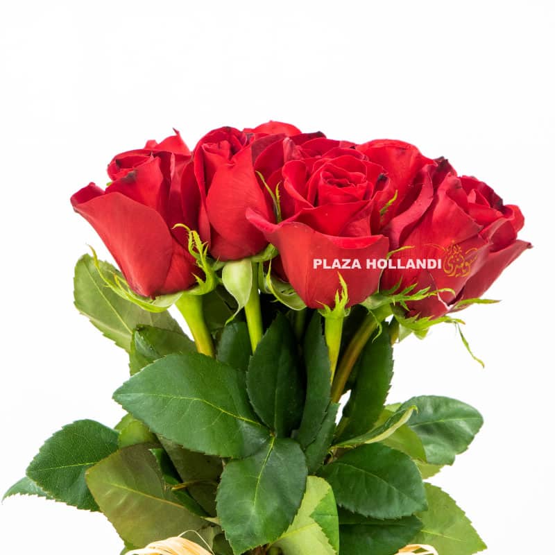 14 red rose bouquet