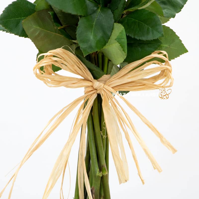 14.2 Hessian bow