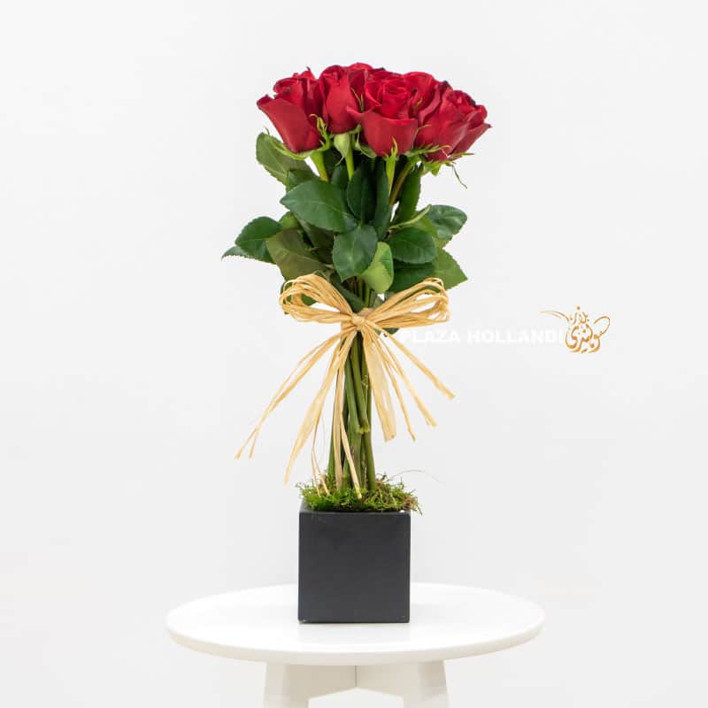 14.3 10 red roses in a black box