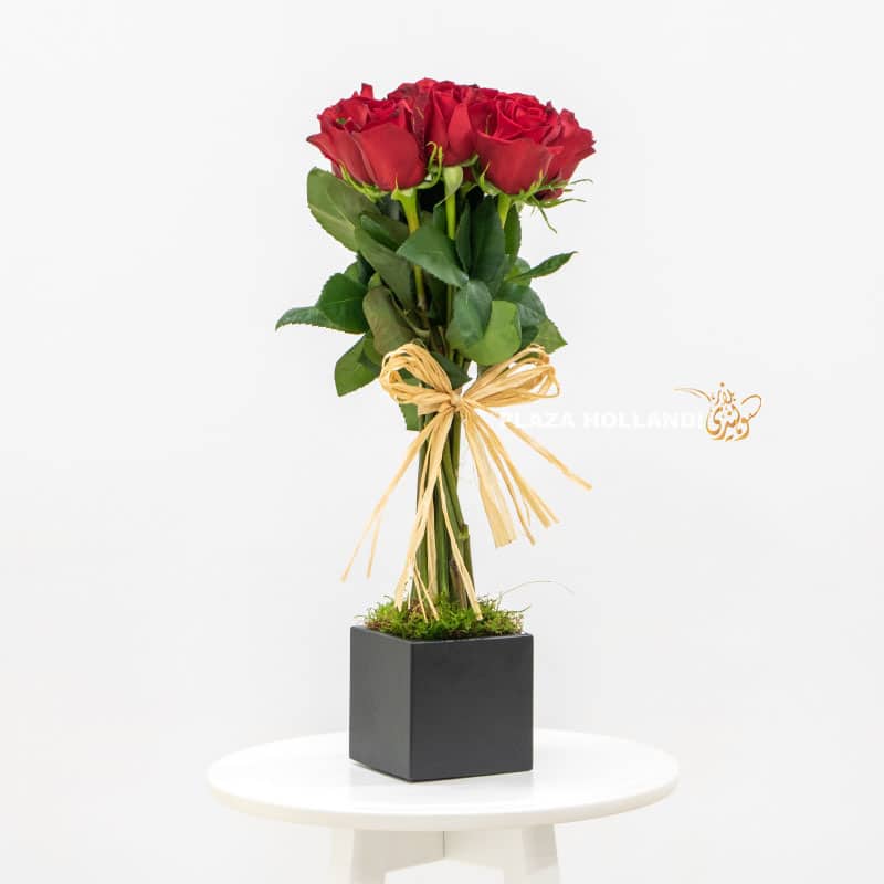 14.4 10 red roses in a black box
