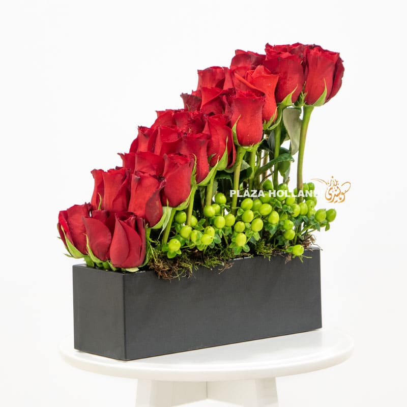 15 24 red roses in a black box