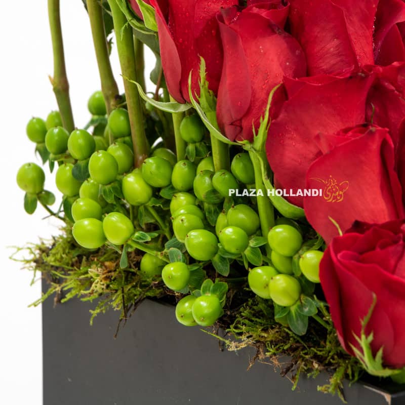 15.4 close up of red roses and hypericum
