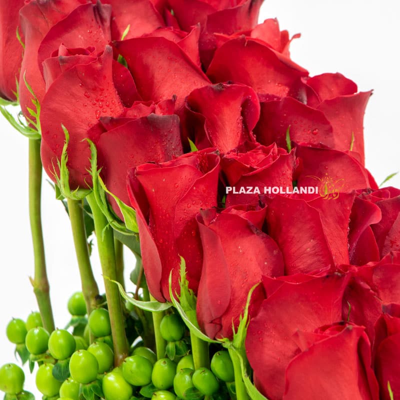 15.5 close up of red roses and hypericum
