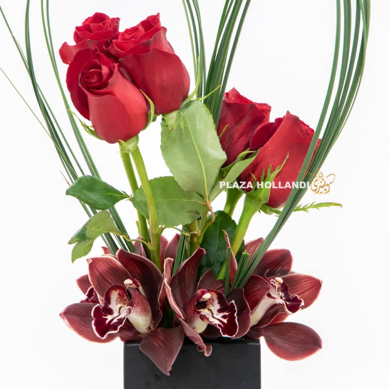 16.3 red rose sand cymbidium orchids