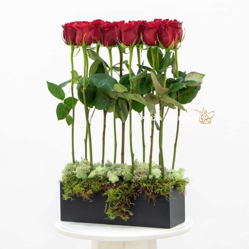 17.3 12 red roses in a black box