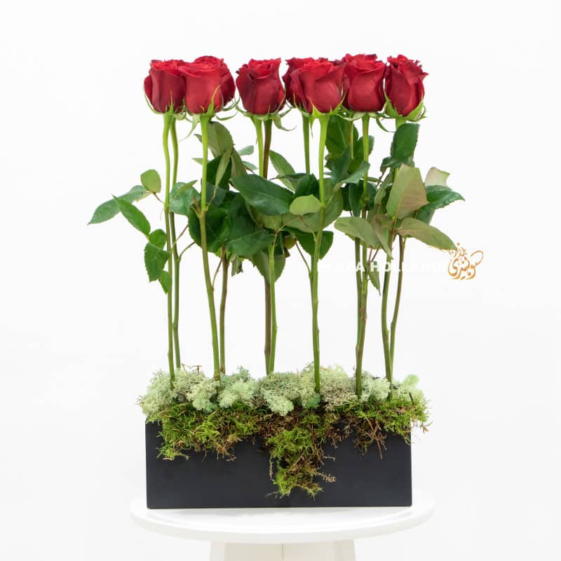 17.5 12 red roses in a black box