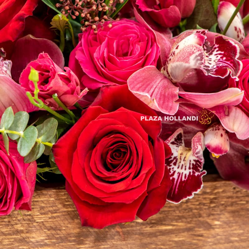4.3 Close up of orchid and red rose