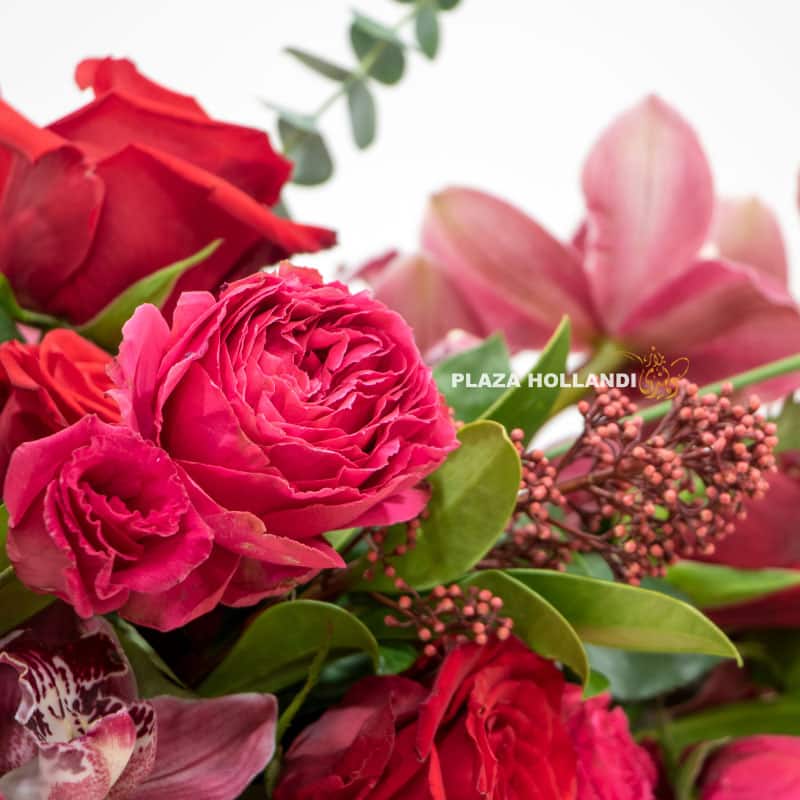 4.4 Close up of skimmia and pink spray rose